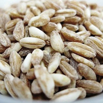 Für Dinkelreis werden unsere Dinkelkörner angeschliffen. Damit er vielseitig zum Kochen verwendet werden kann.